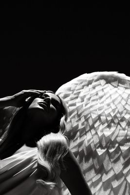 Monere Photography
